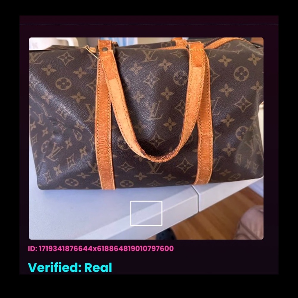 Louis Vuitton Brown and Tan Tote